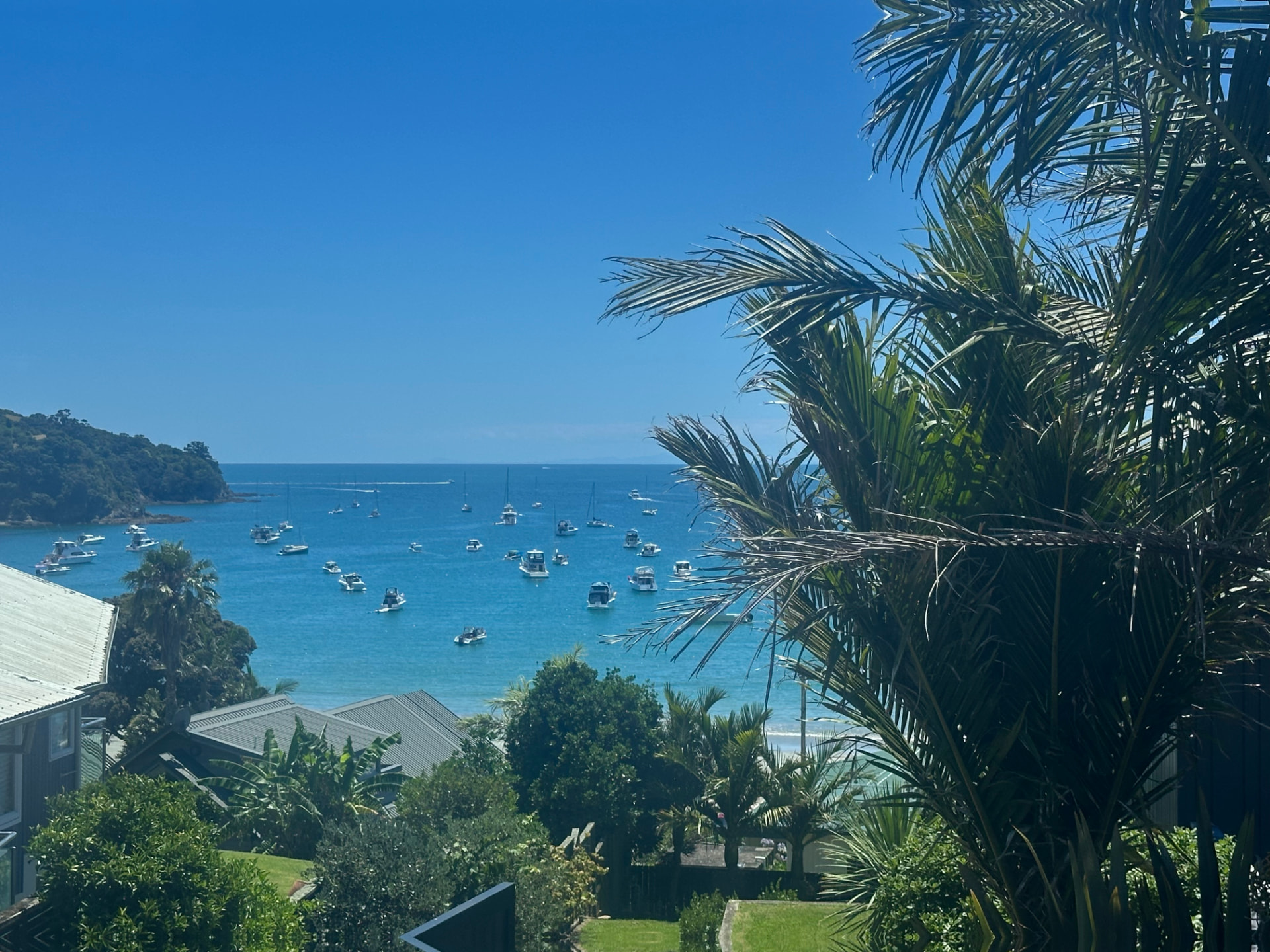 Sheltered bay full of anchored boats framed by palm fronds