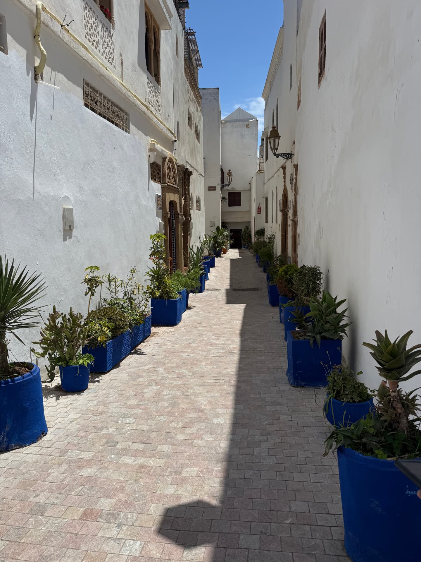 Narrow whitewashed Mediterranean alleyway with blue flower pots